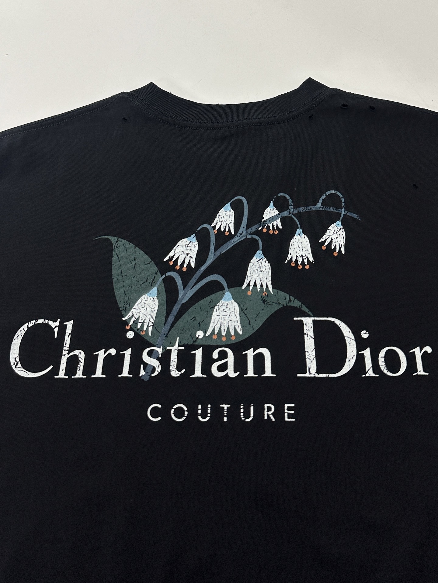 Christian Dior 2025秋季男装系列 T恤服装,男,女,dior 8