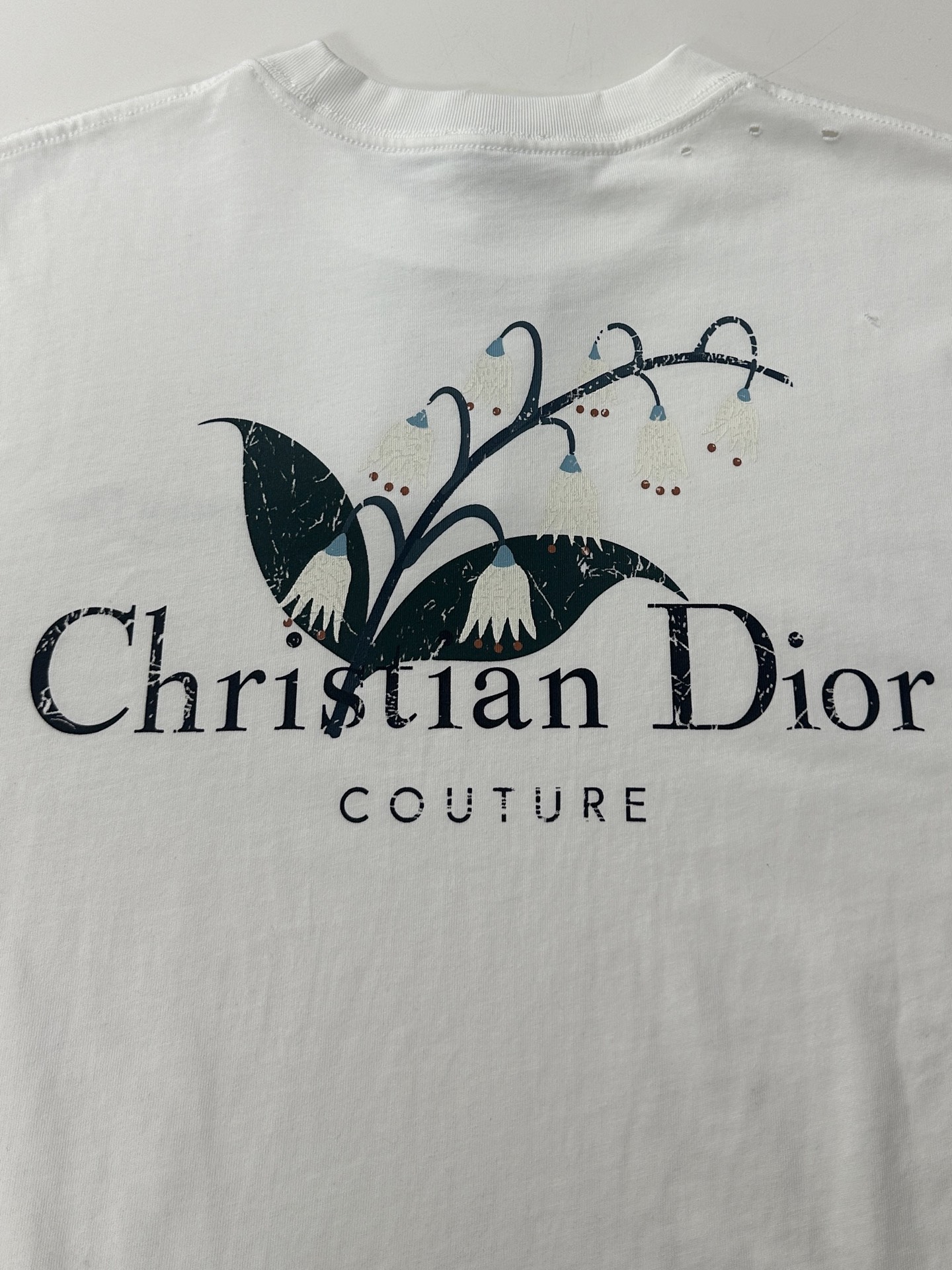 Christian Dior 2025秋季男装系列 T恤服装,男,女,dior 8