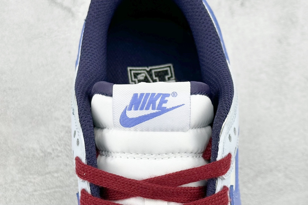 A Nike Dunk SB Low FV8113-141