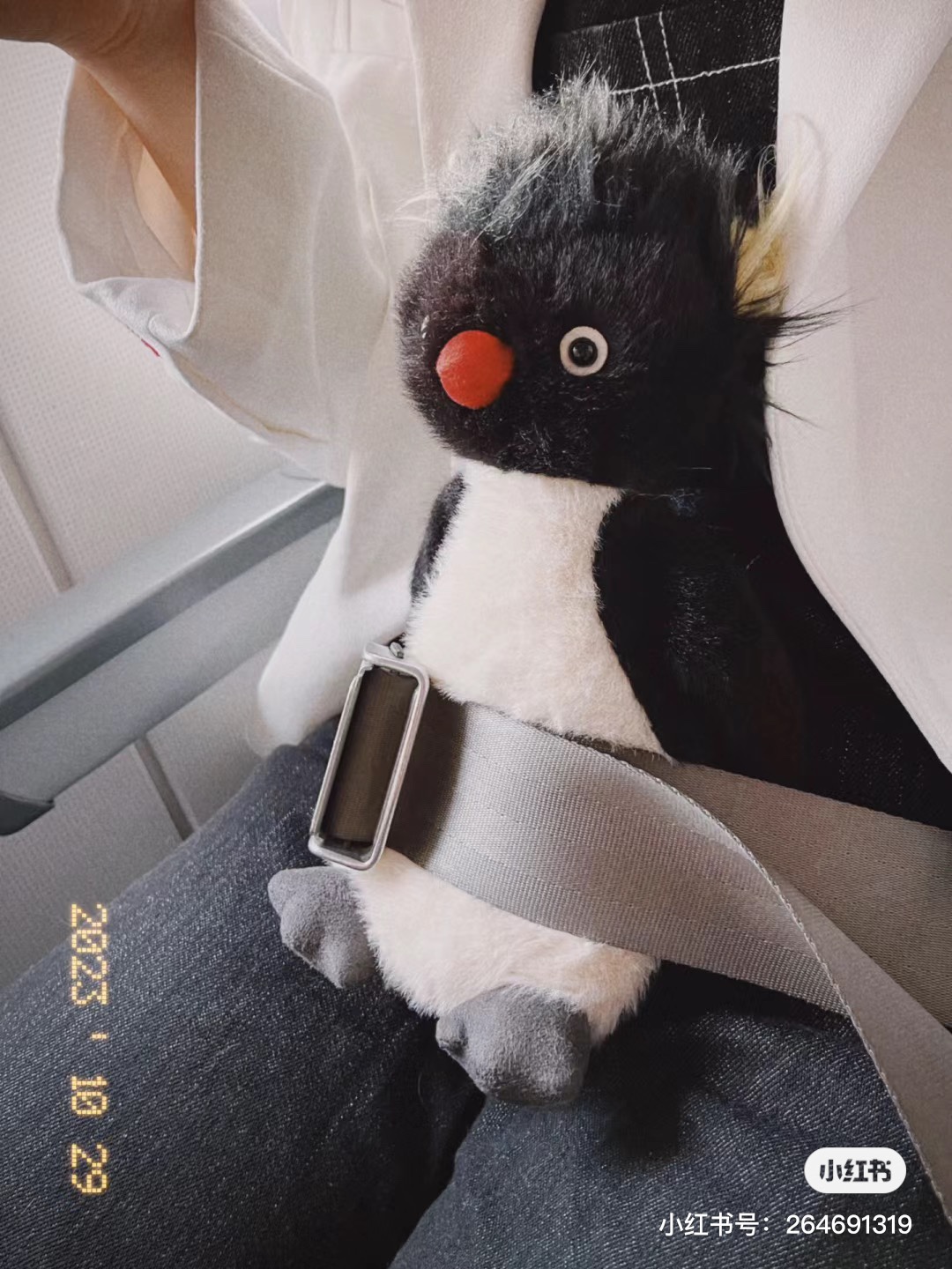 路易威登 Louis Vuitton 高定典藏名品高定成衣时装外套连衣裙衬衫T恤 #1D9B80EB 8