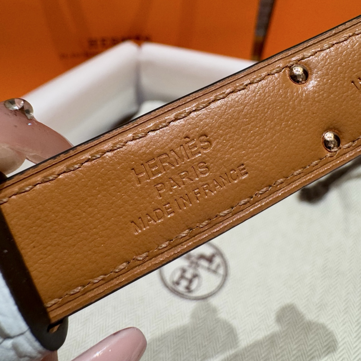 H家 レディース ウエストベルト Epsom小牛皮製・316精鋼金具