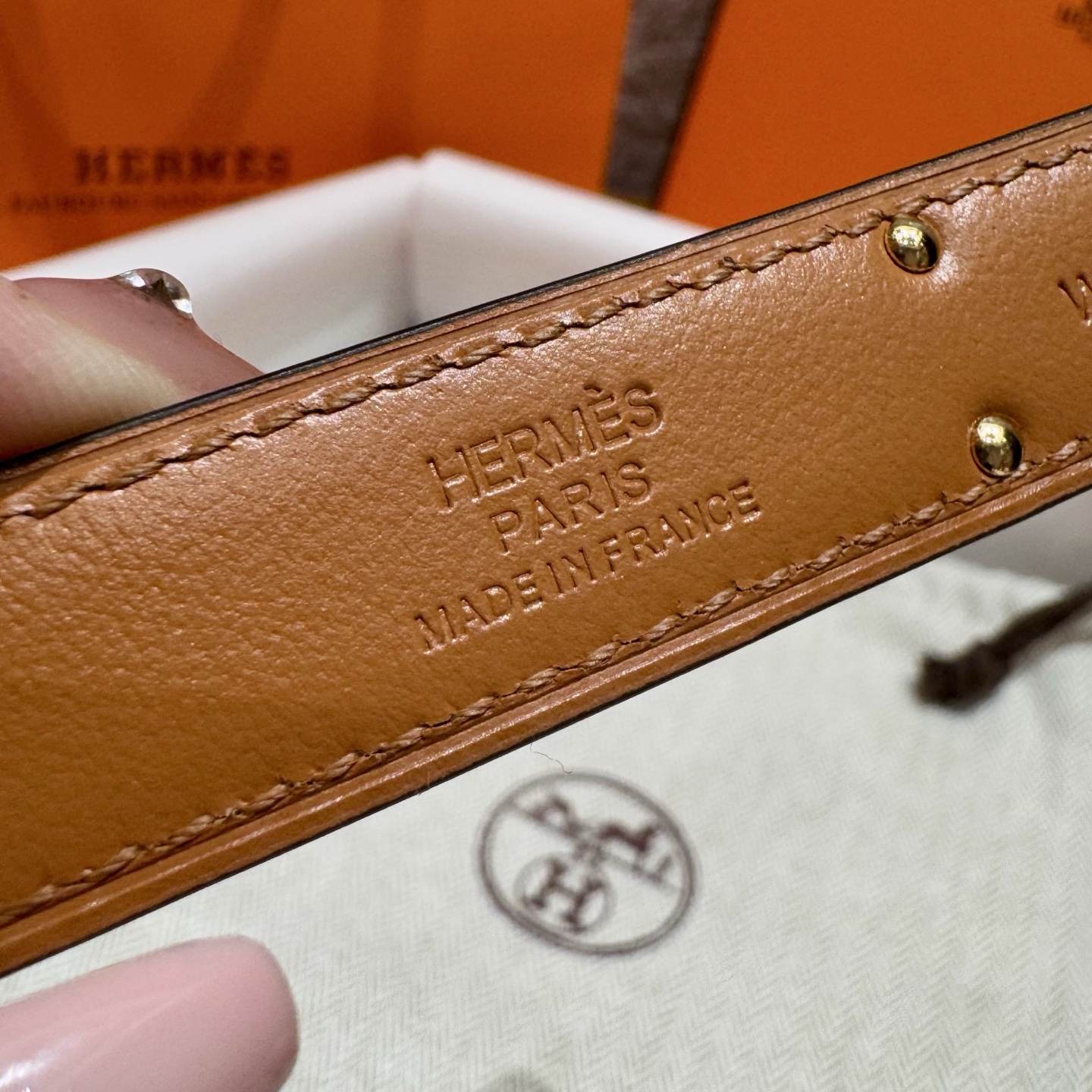 H家 レディース 腰帯 Epsom小牛皮製 316精鋼金具付き