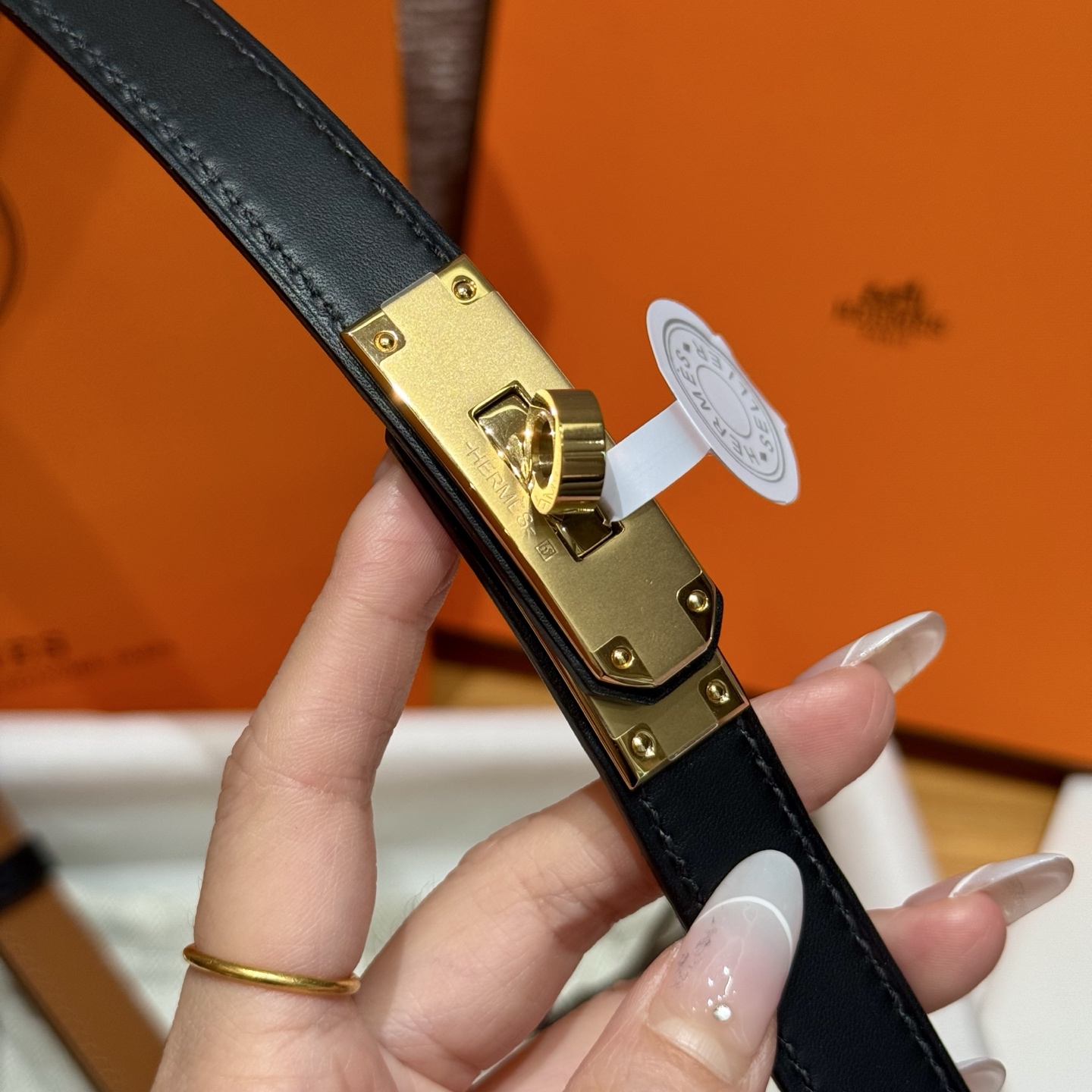 H家新款女士平纹腰带 - Swift小牛皮&調整可能なサイズ