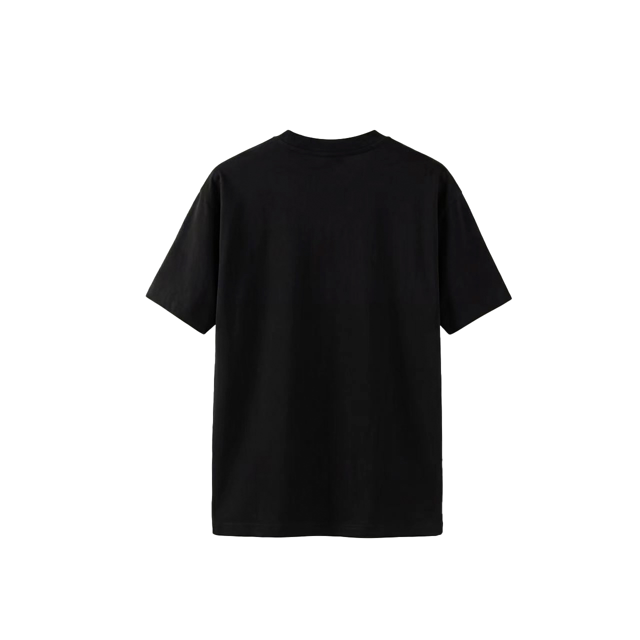 Dior 高端品质 Dior刺绣字母logo圆领短袖，高克重 洗水面料，洗水完280g重， 工艺，宽松版型