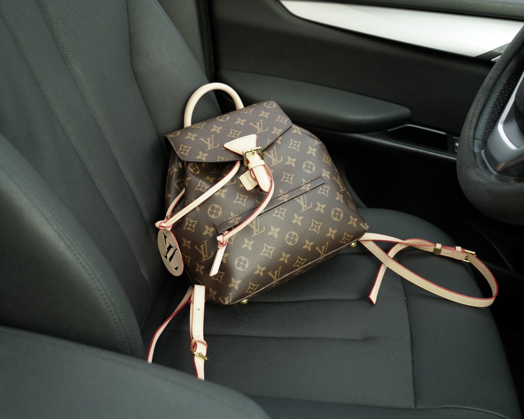Louis Vuitton Bags Backpack