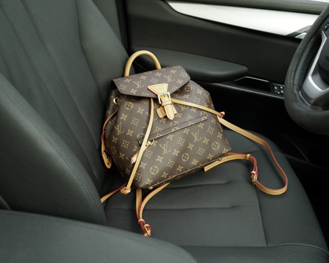 Louis Vuitton Bags Backpack