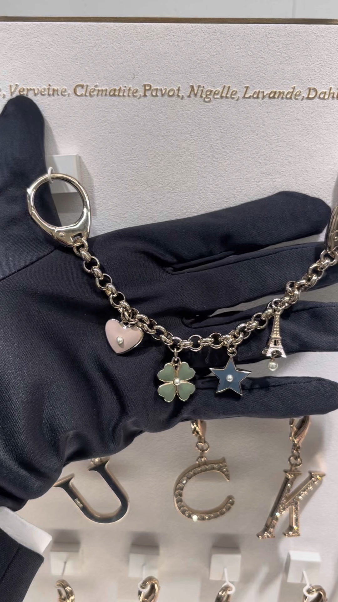 ❤️La nueva versión vertical del bolso indígena de Dior viene con una cadena de la suerte, se ve tan bien😻