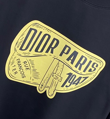迪奥 Dior 高级成衣风衣外套及大衣服饰 #77C276AD 2