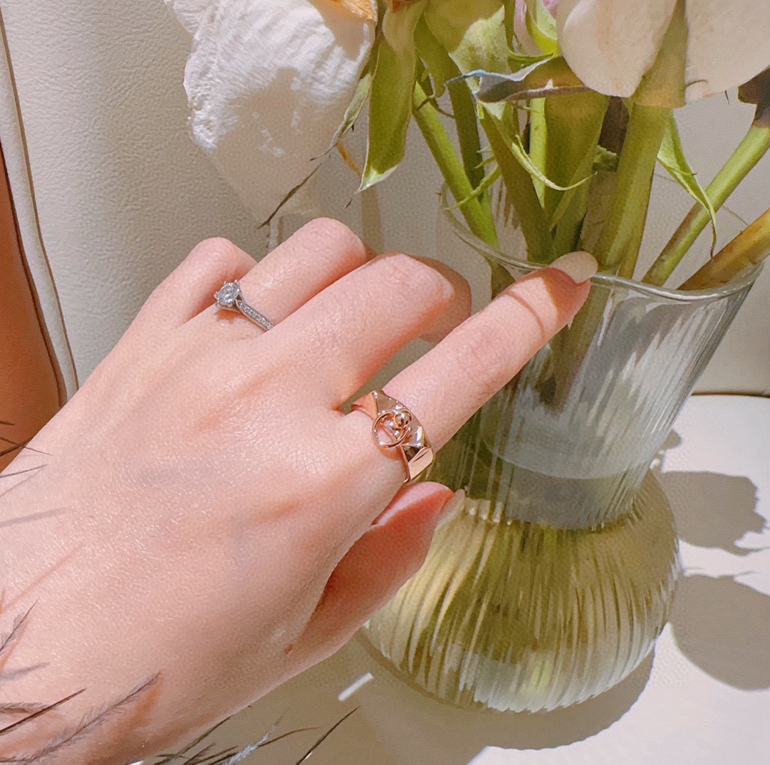 Hermès Haute Couture Haute Couture Fine Jewelry Necklace Bracelet Ring 3