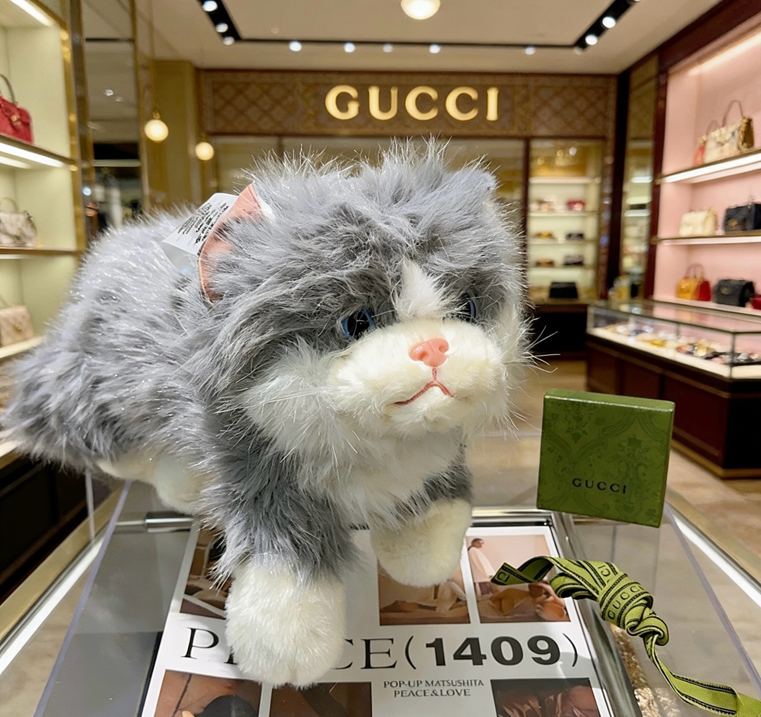 超大号爆款来袭 古驰官网首发新品伶俐猫玩偶独家高品质发售 出口法国订单新品发布 ，古驰的的一款小猫公仔🐱