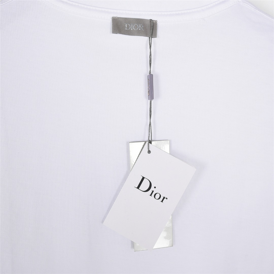Dior/迪奥 25ss 字母小恐龙刺绣短袖T恤黑色 白色