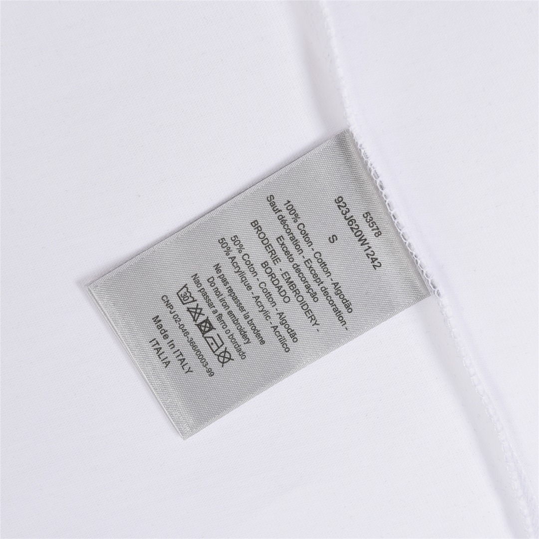 Dior/迪奥 25ss 字母小恐龙刺绣短袖T恤黑色 白色