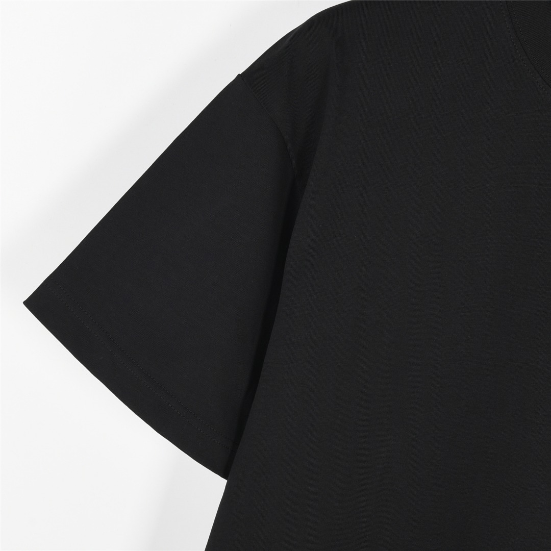 Loewe/罗意威 25ss 胸口彩色徽标刺绣logo短袖T恤