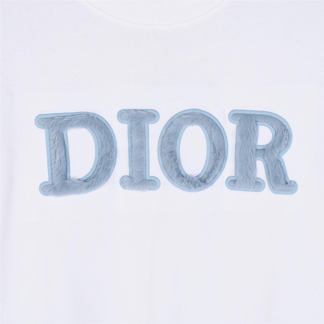 Dior/迪奥 25ss 蓝色植绒字母刺绣短袖T恤-Chinese UA Cheap High Quatity Brand Clothes Bags handbags Sneakers wholesale wholesaler seller from China Factory suppliers Fashion Clothing Shoes best Quality Beautiful Price Dior/迪奥 25ss 蓝色植绒字母刺绣短袖T恤