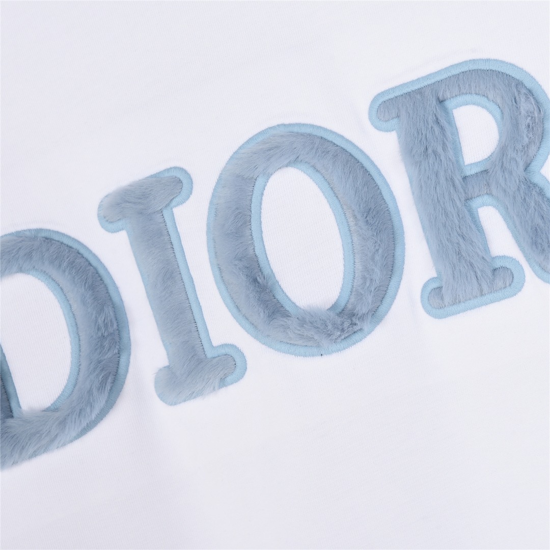 Dior/迪奥 25ss 蓝色植绒字母刺绣短袖T恤-Chinese UA Cheap High Quatity Brand Clothes Bags handbags Sneakers wholesale wholesaler seller from China Factory suppliers Fashion Clothing Shoes best Quality Beautiful Price Dior/迪奥 25ss 蓝色植绒字母刺绣短袖T恤