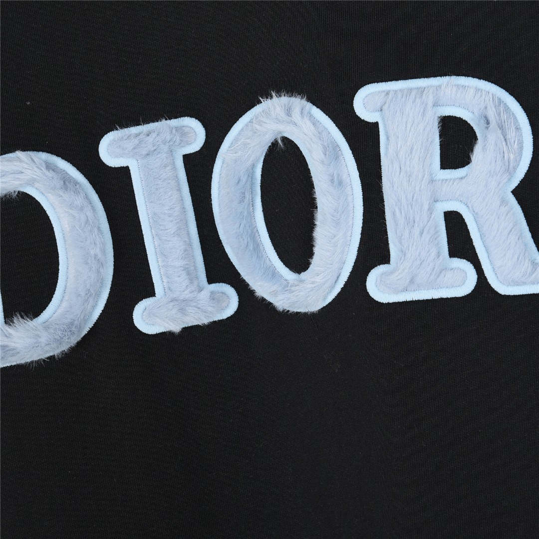 Dior/迪奥 25ss 蓝色植绒字母刺绣短袖T恤