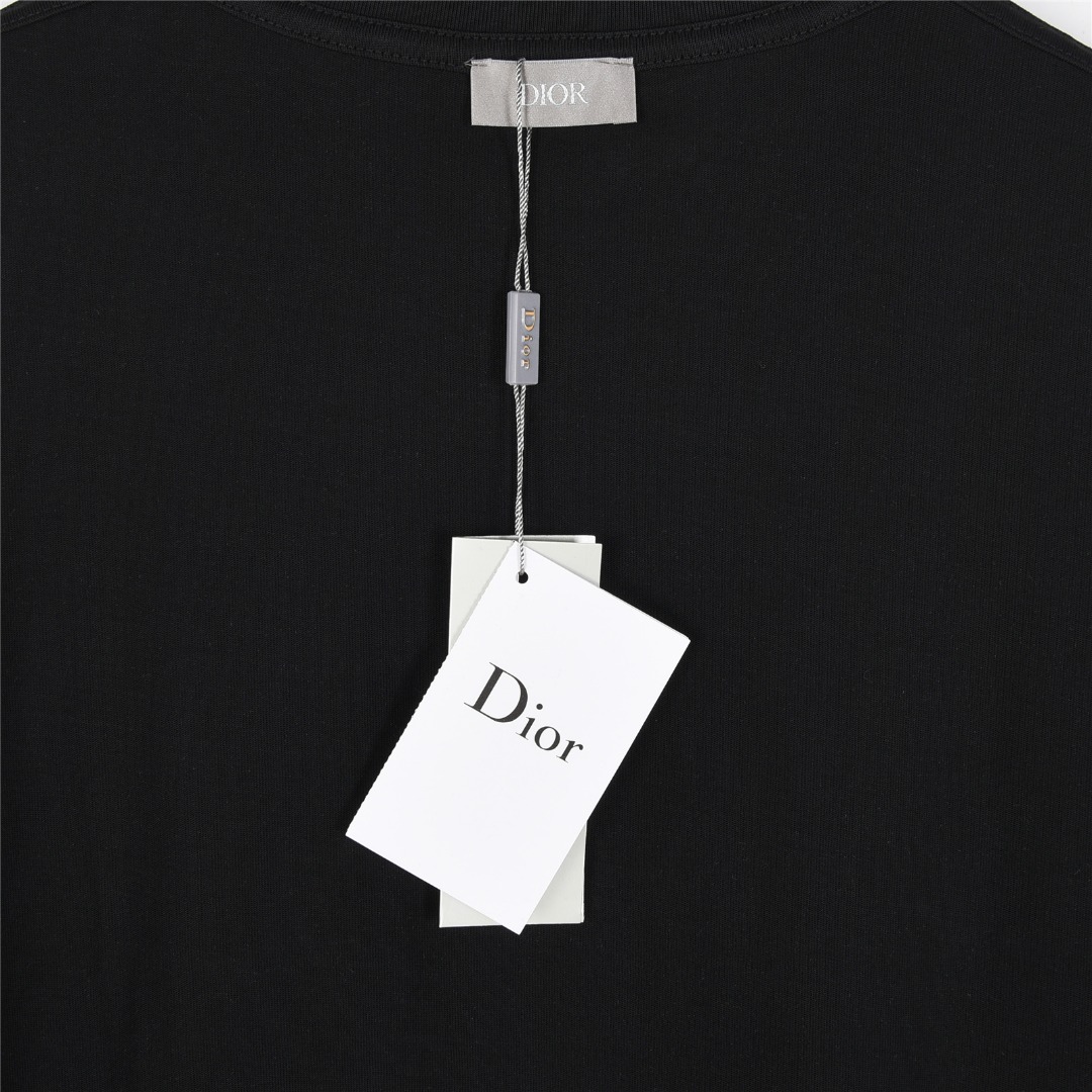 Dior/迪奥 25ss 蓝色植绒字母刺绣短袖T恤