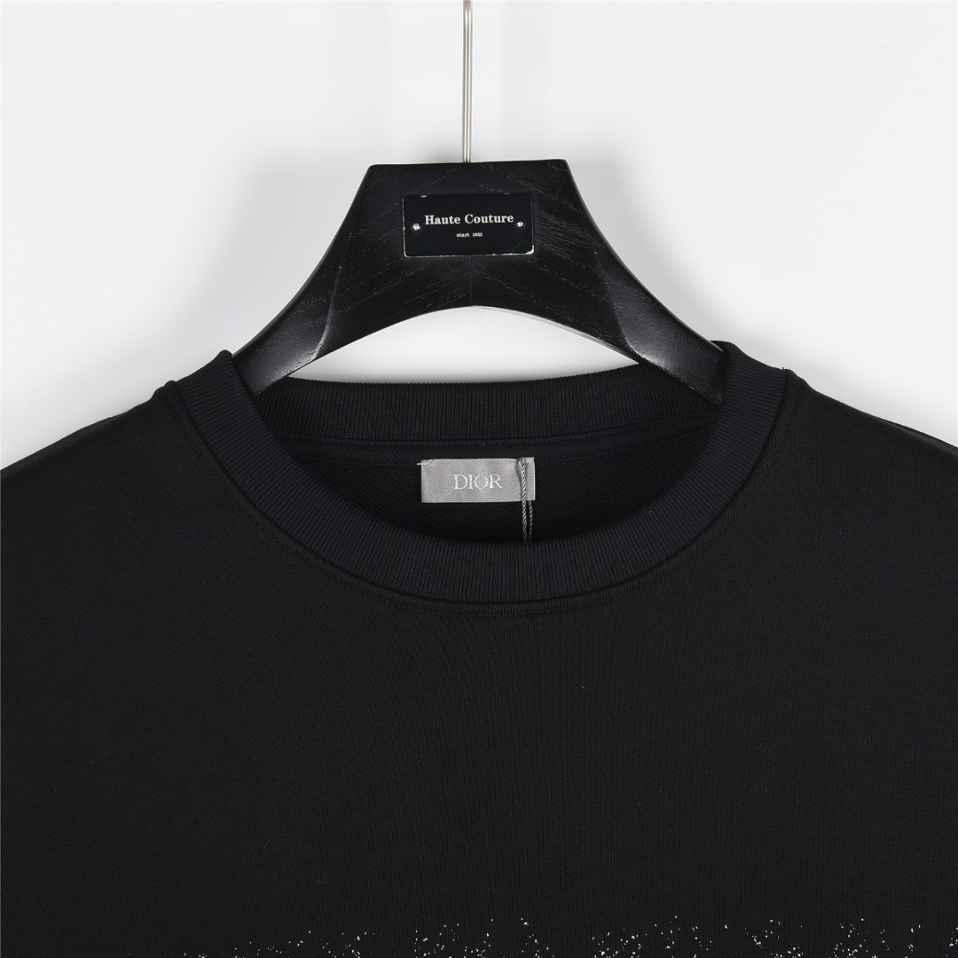 Dior /迪奥 25Fw 老花渐变字母半身印花logo圆领卫衣