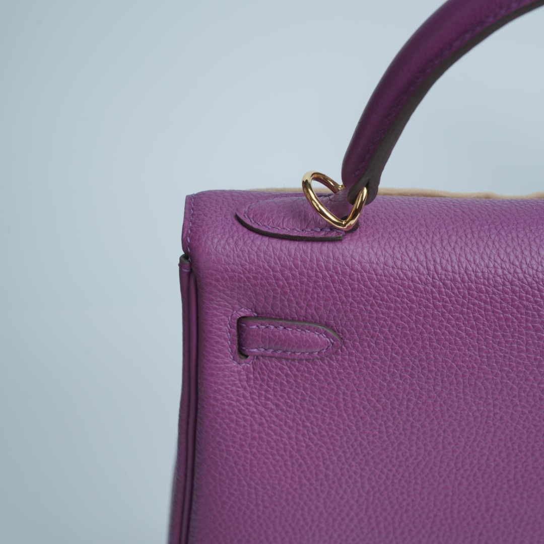 Hermes bag -togo — photo 7