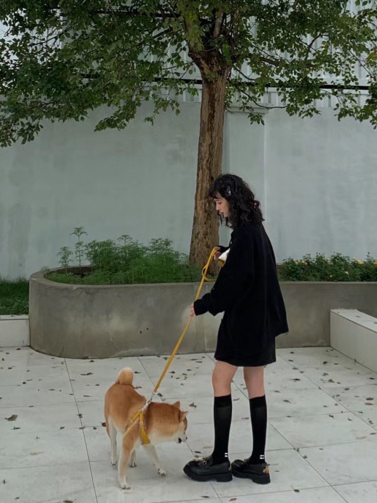 配包装🌟【一盒一 双】 🌟缪缪 miumiu 经典字母logo纯棉袜 小腿堆堆袜，ins超火爆红人同款，