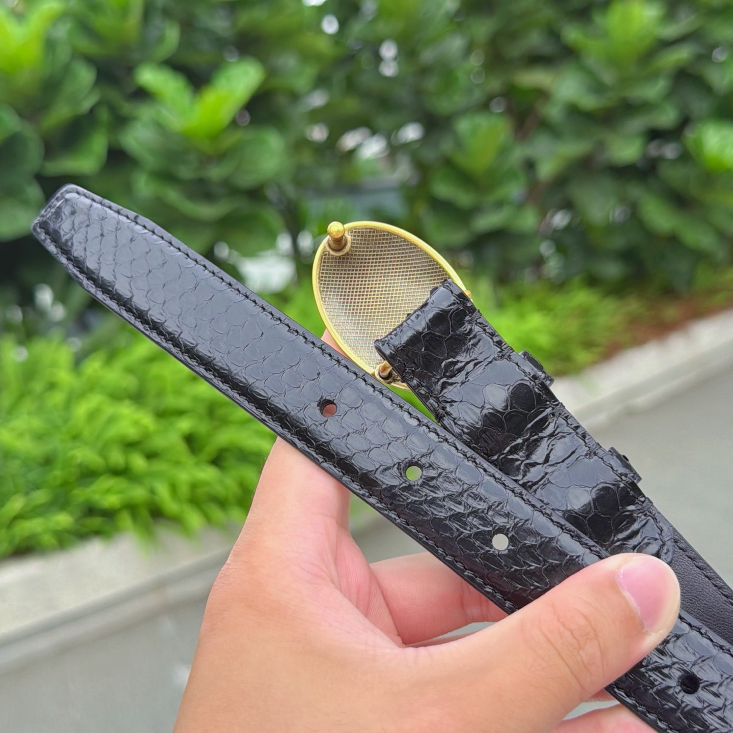 💥💥💥2.5cm赛琳腰带，头层牛皮，长度：75.80.85.90.95.100.105欧，合金扣原版开模