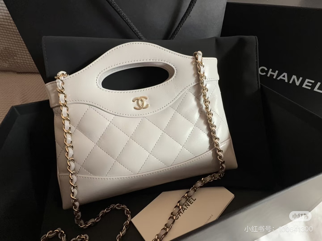 Chanel 25s 31 Bag Nano: Classic & Practical, Perfect for Any Outfit 2 i1742967659 7383 1