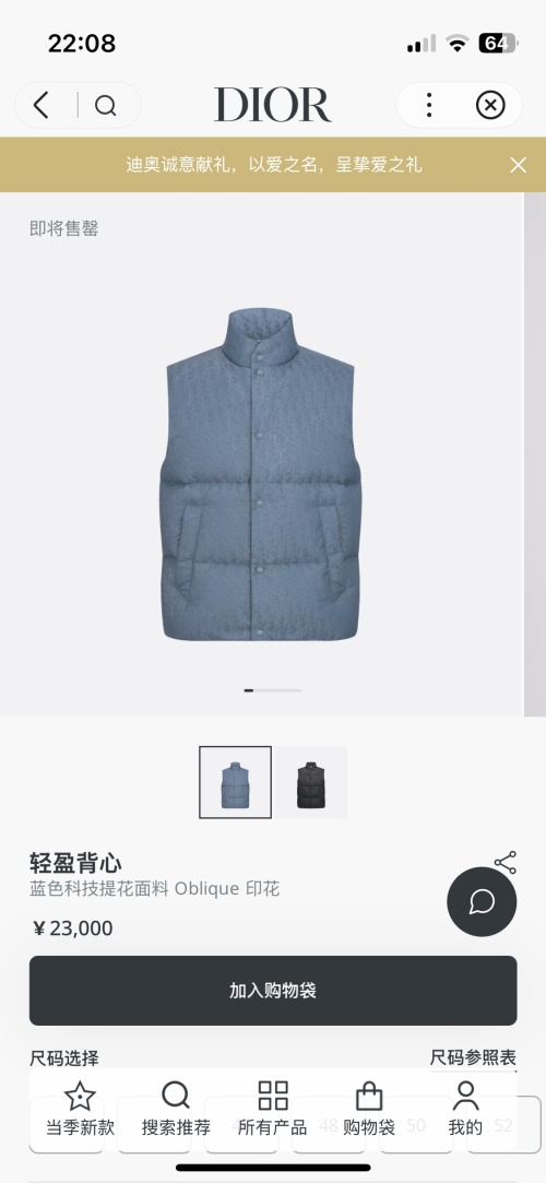Dior Oblique Jacquard Puffer Vest Lightweight, Water-Resistant & Stylish 1 Dior Oblique Jacquard Puffer Vest Lightweight, Water-Resistant & Stylish