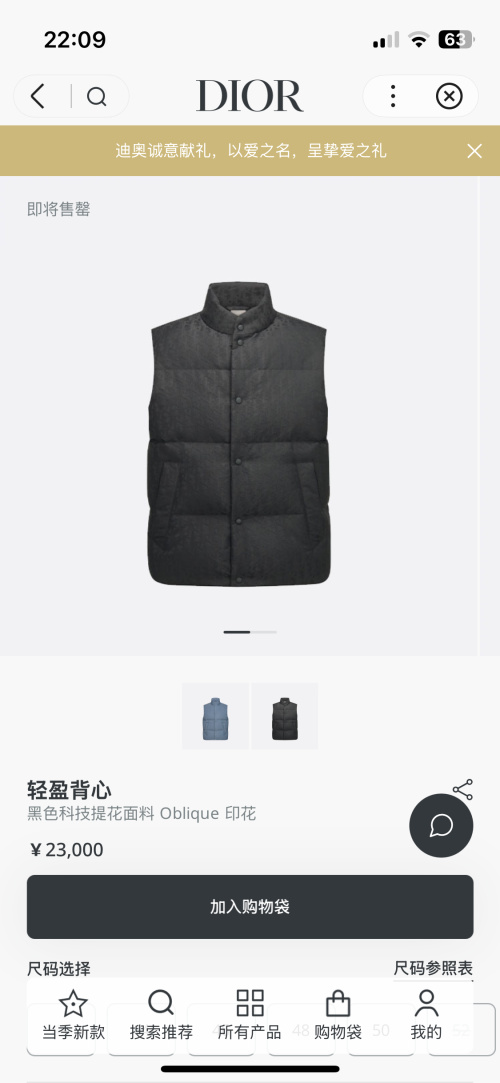 Dior Oblique Padded Vest: Technical Jacquard, Down-Filled, and Modern Style 1 Dior Oblique Padded Vest: Technical Jacquard, Down-Filled, and Modern Style