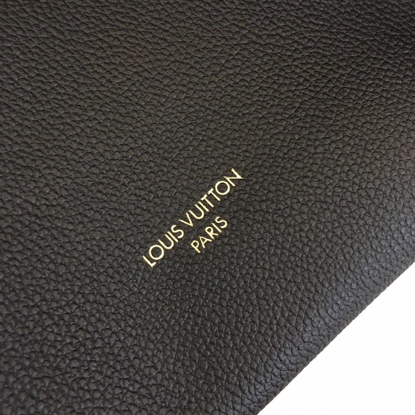 Louis Vuitton Express Travel Bag: Black Leather, Monogram Accents, Large Size 4 i1757697519353 7876 0 2