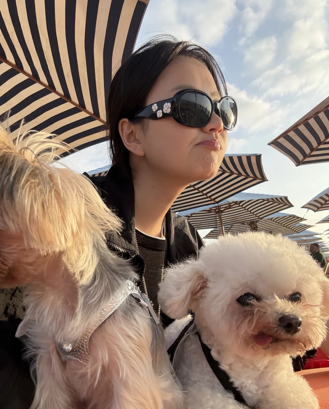 CHANELMODEL：CH5113-ASIZE：56口16-130