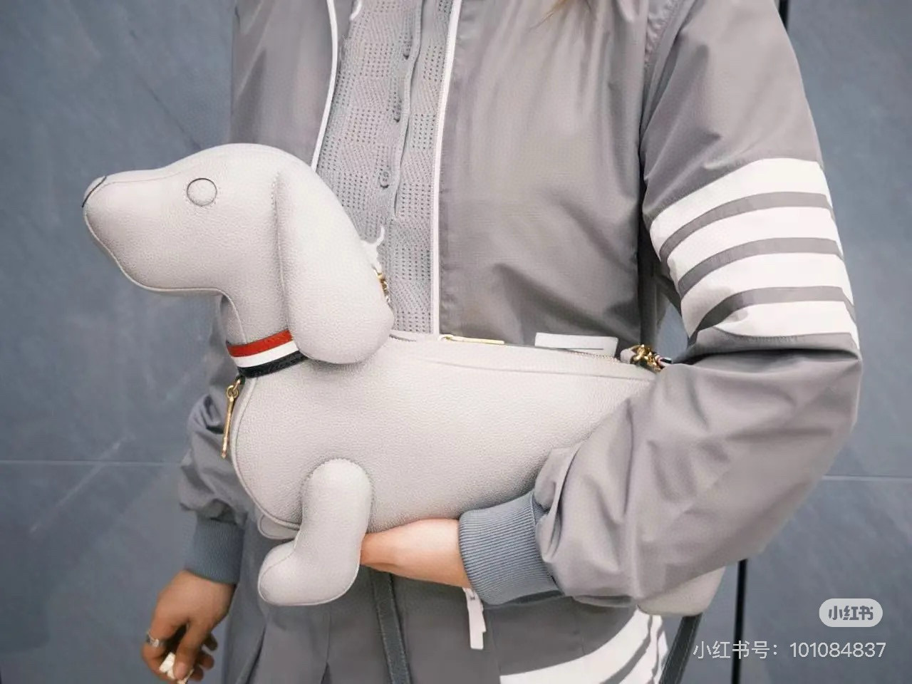 Youth Colleges - 图片 8