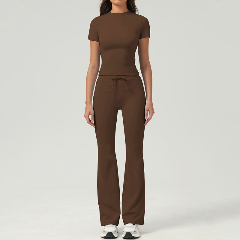 Alo t-shirt everyday brown and light blue yoga