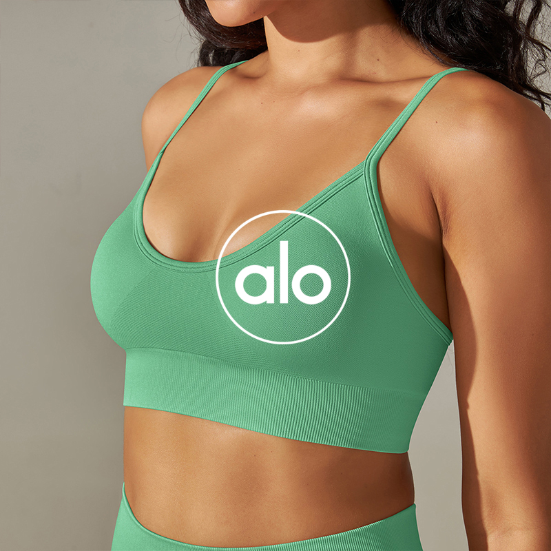 Alo sports bra yoga gray