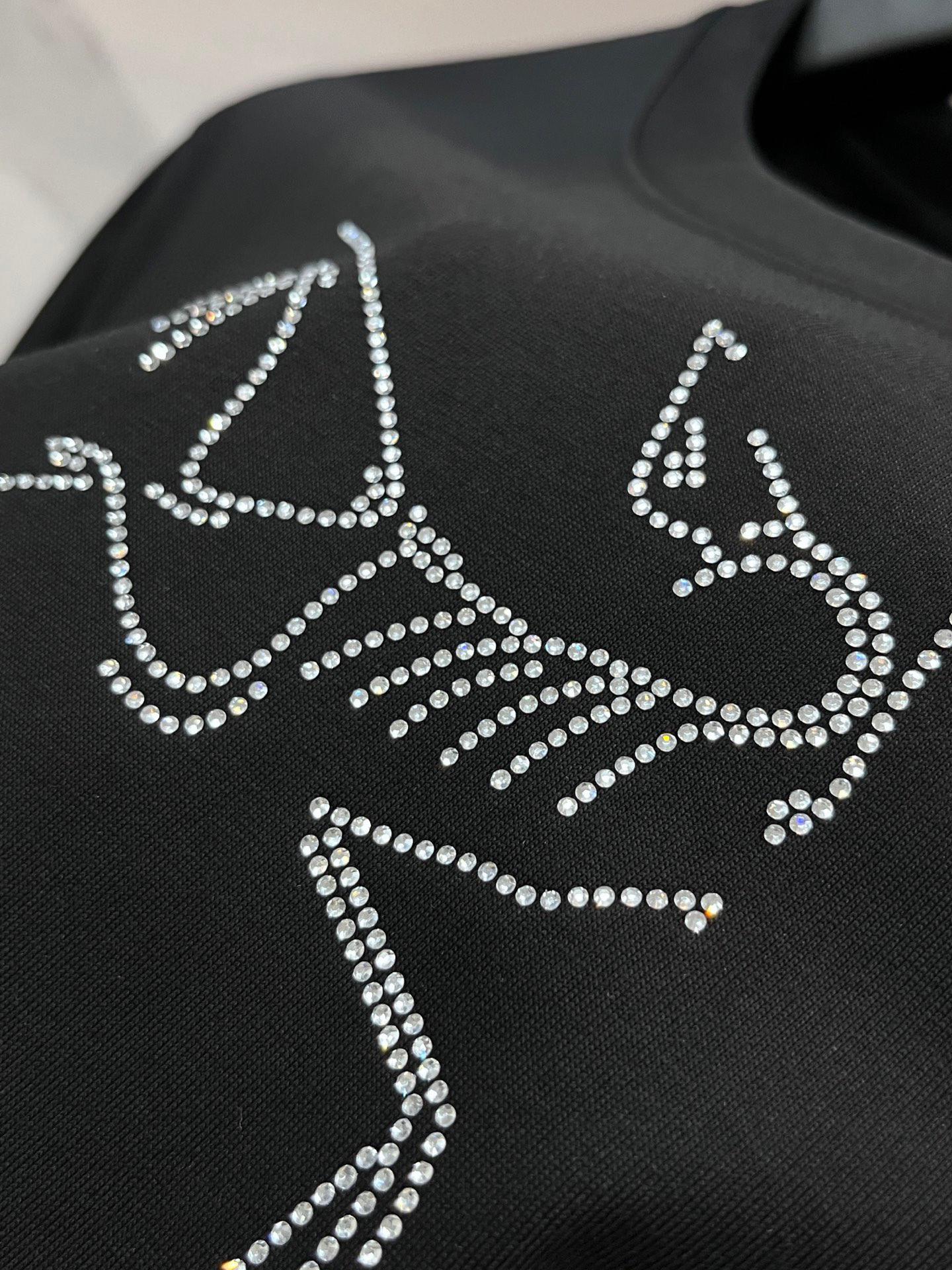 始祖鸟 2025春夏装欧洲GW专柜新款 走秀网红款定制 顶级原单时尚休闲短袖T恤。25ss潮人网红必备单