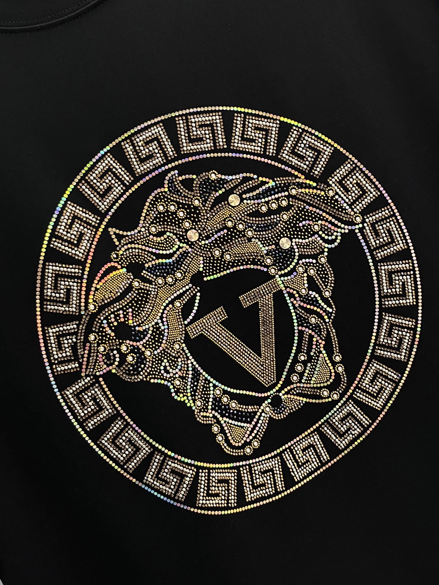 范思哲 25s新款T恤.宽松版型！视觉感受超前！悬垂感强！手感质感都极完美！胸口美杜莎女王经典设计完美的