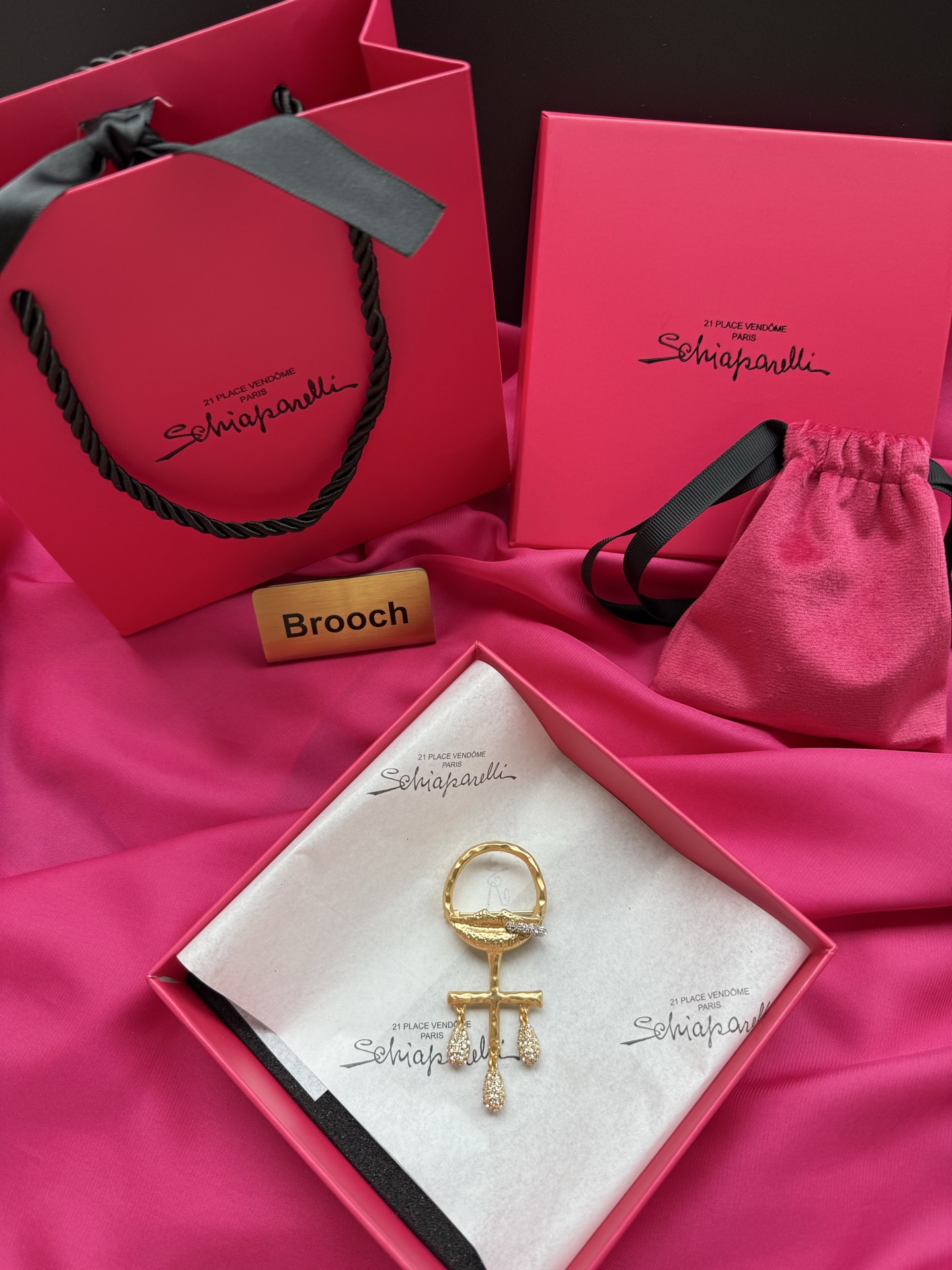 Брошь Schiaparelli