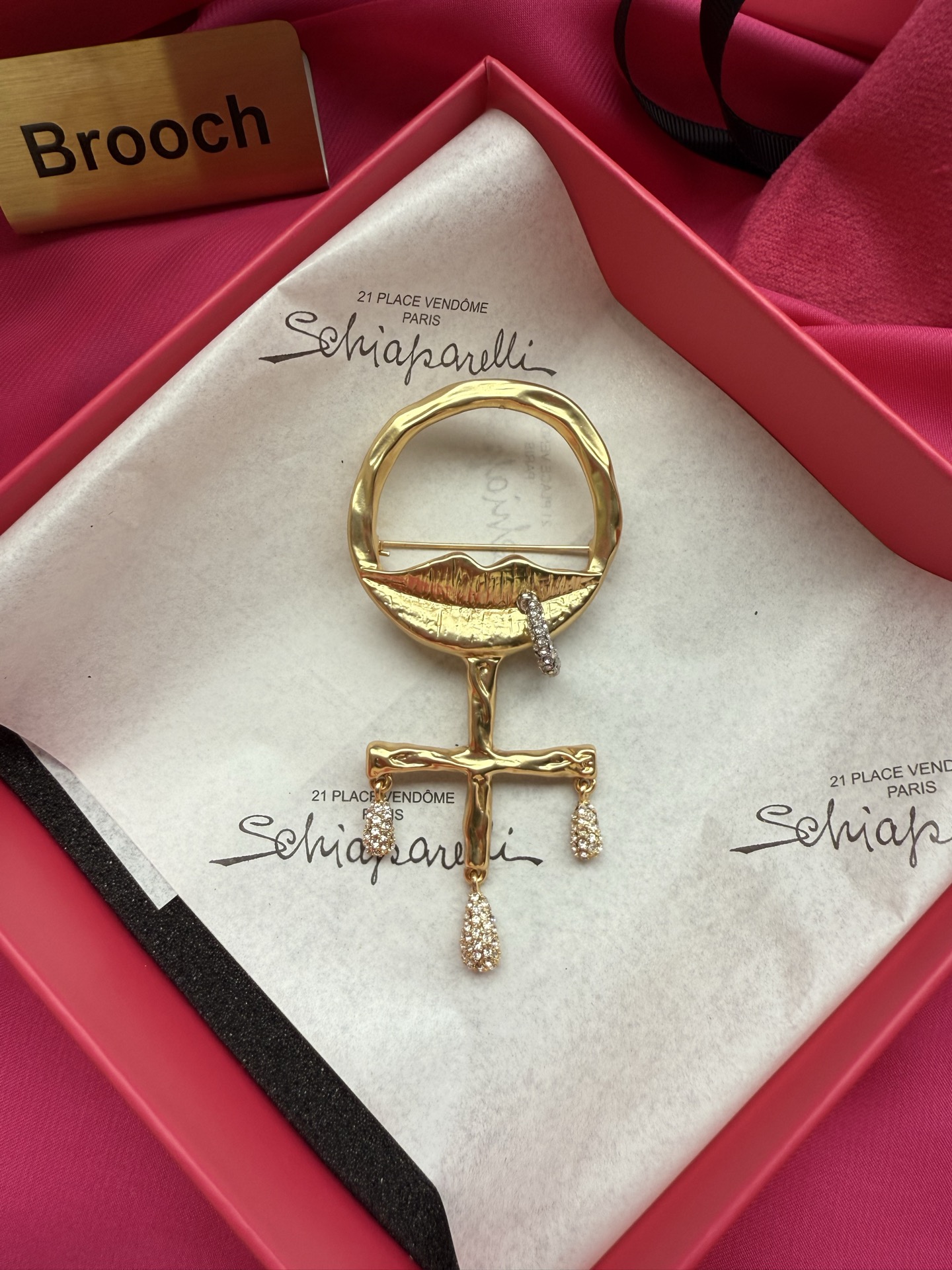 Брошь Schiaparelli