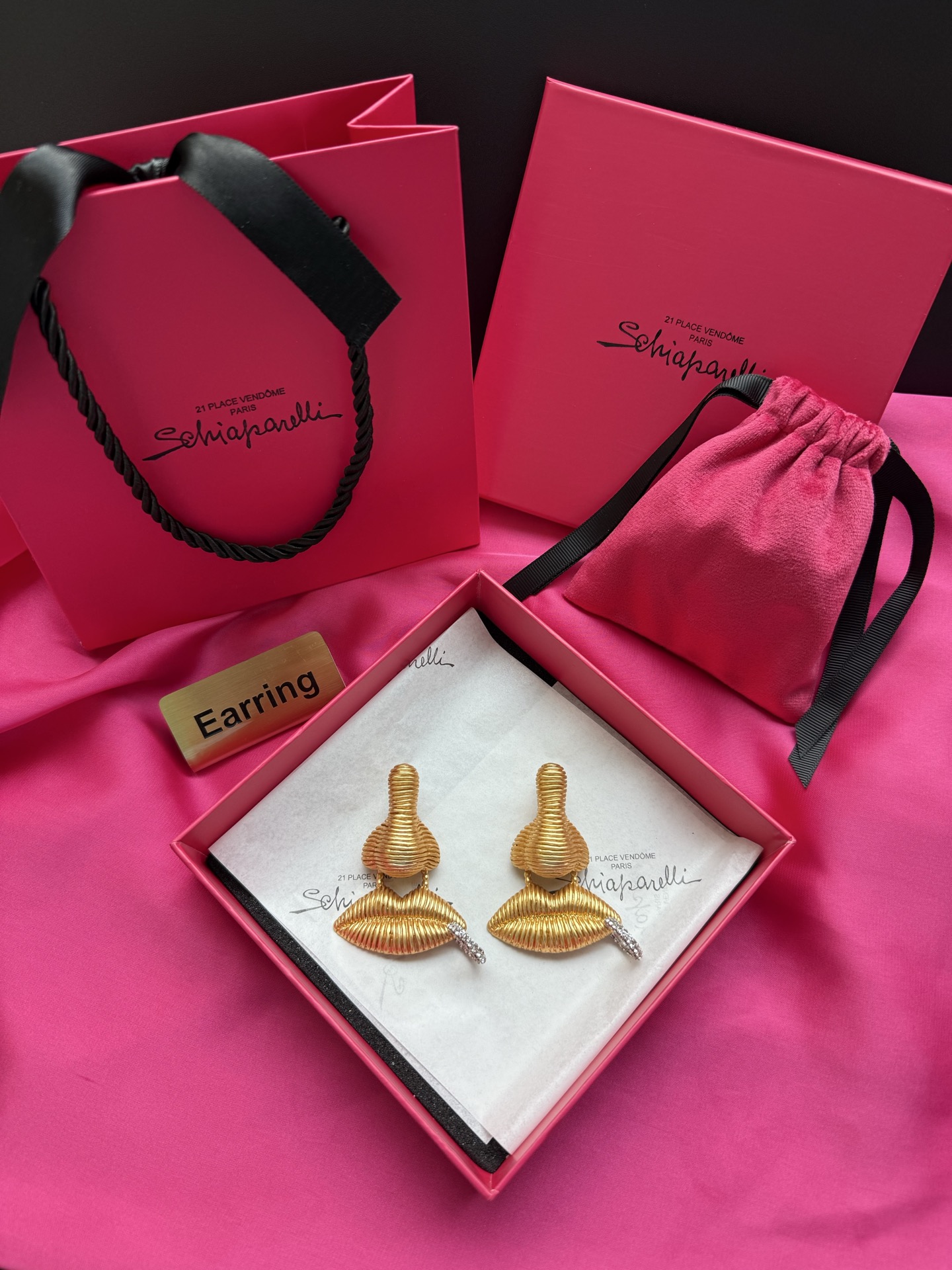 Серьги в виде губ с кристаллами Schiaparelli