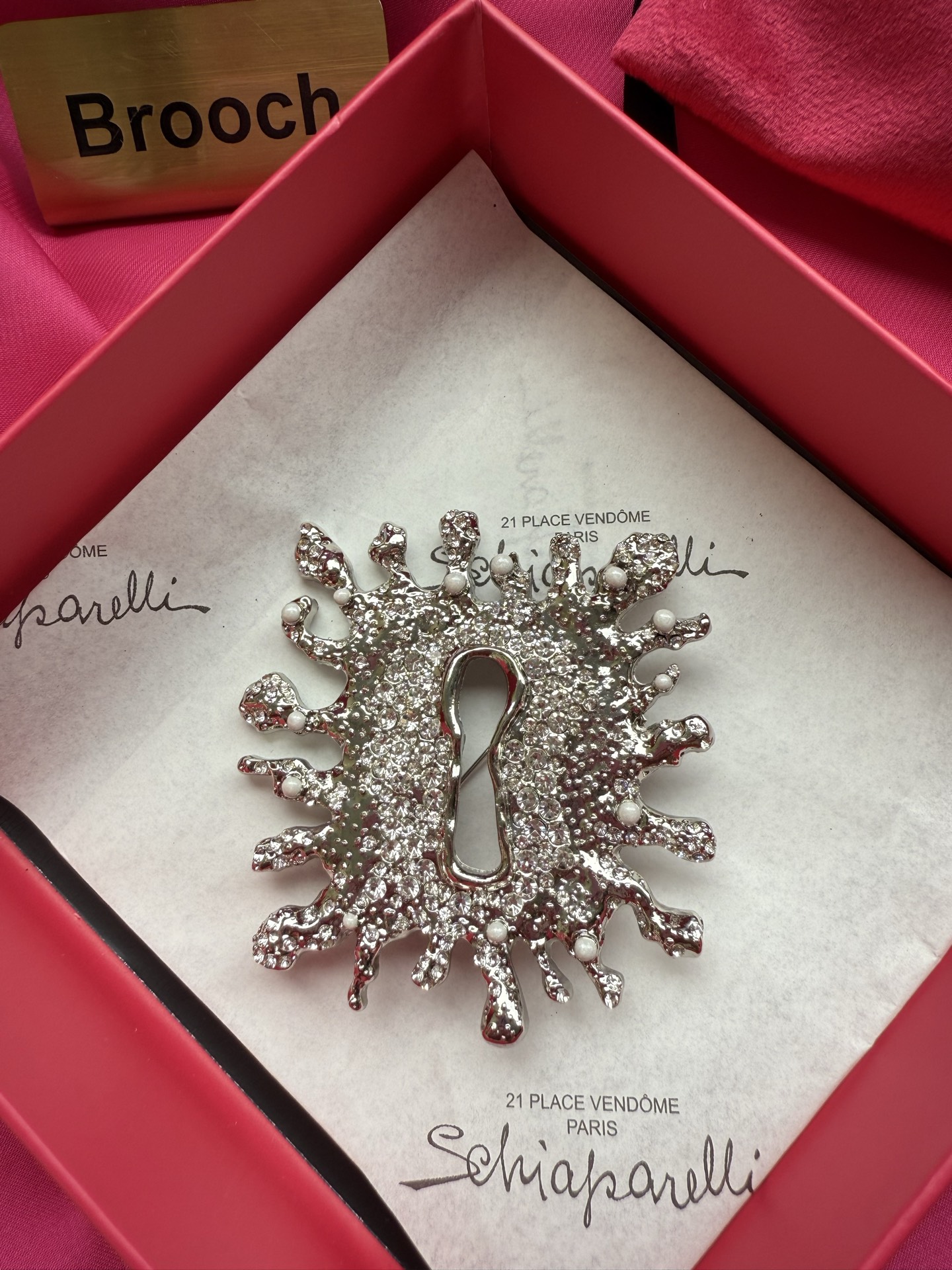 Брошь Schiaparelli