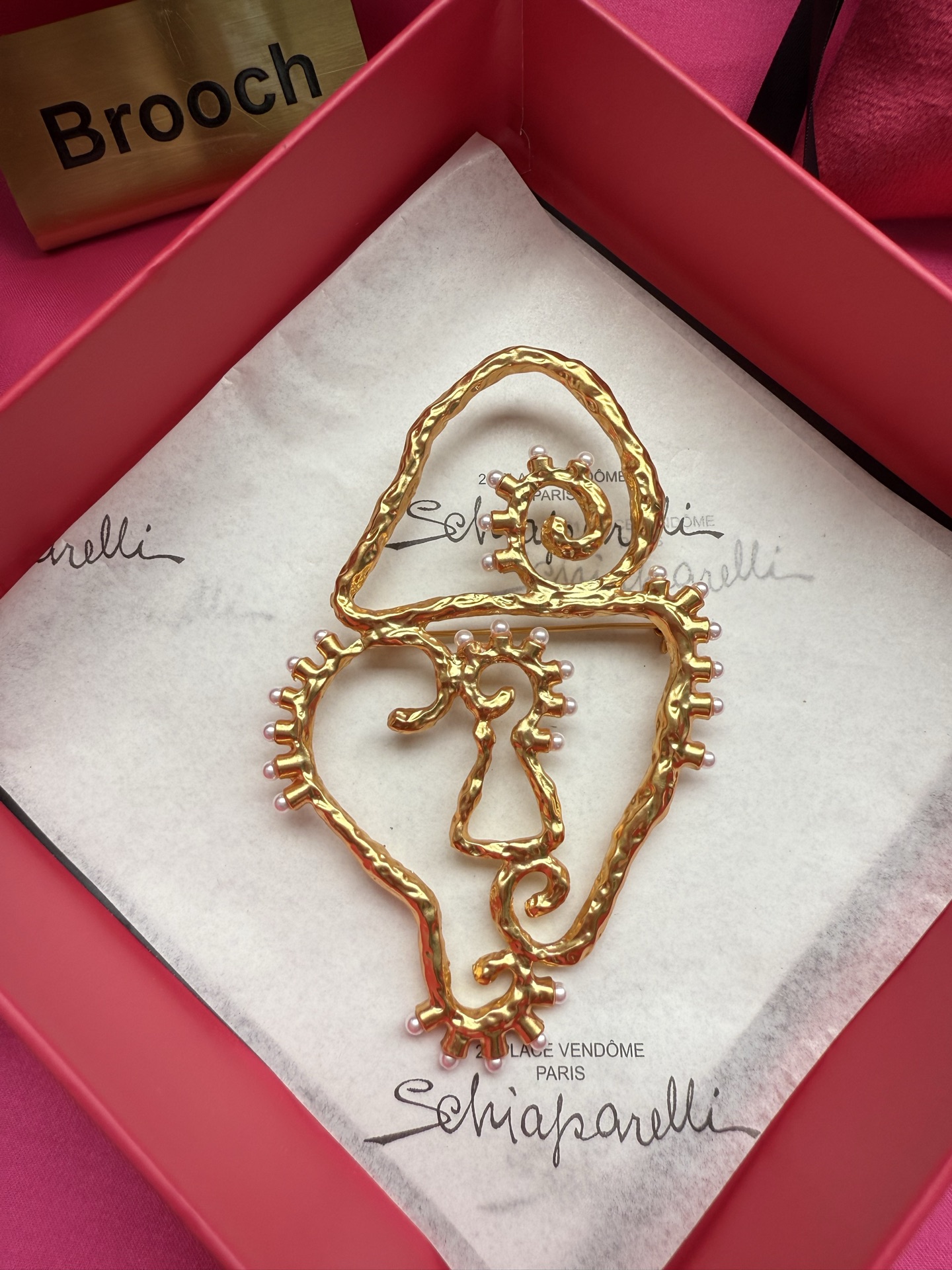 Брошь Schiaparelli
