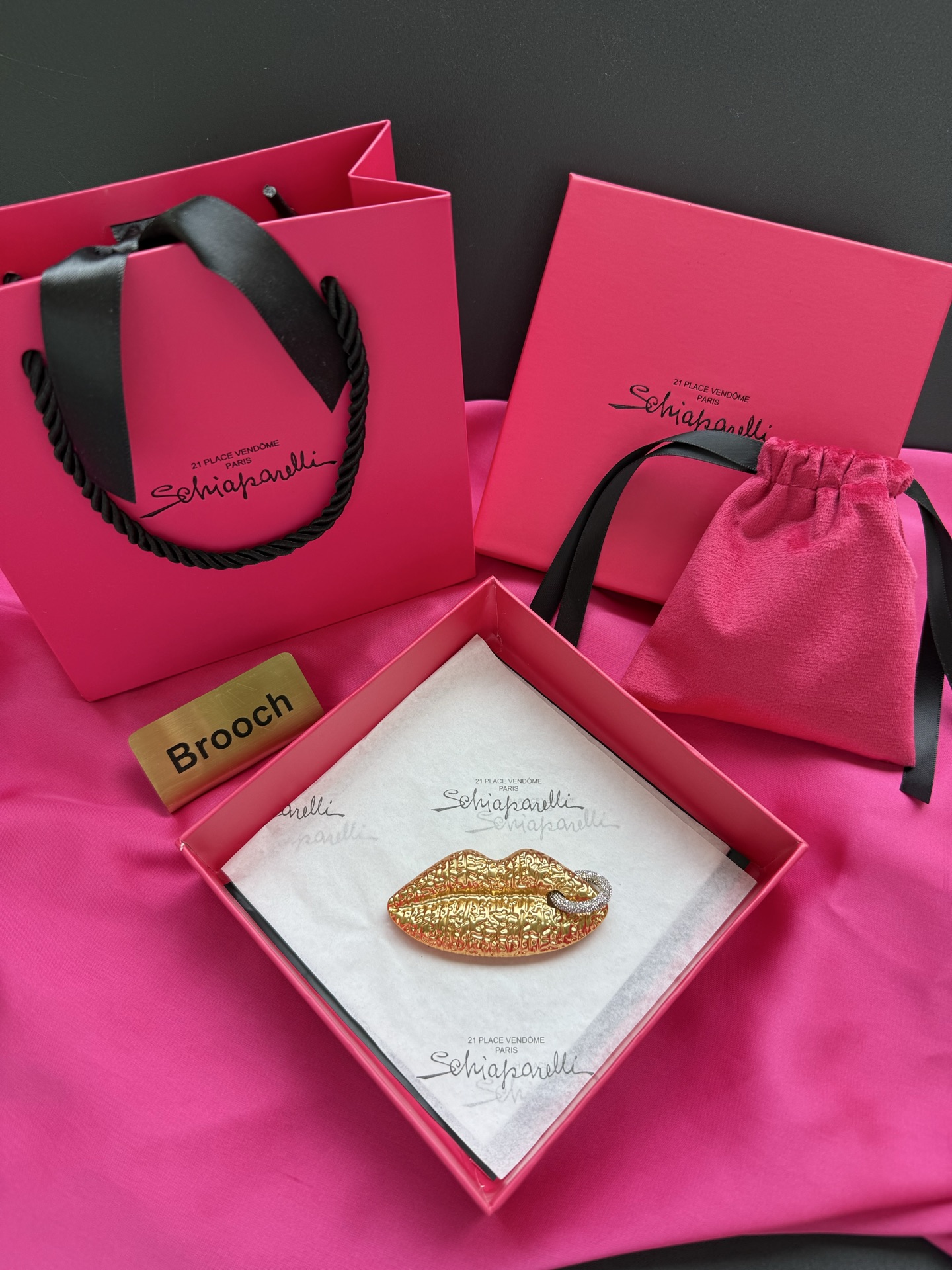 Брошь в виде губ Schiaparelli