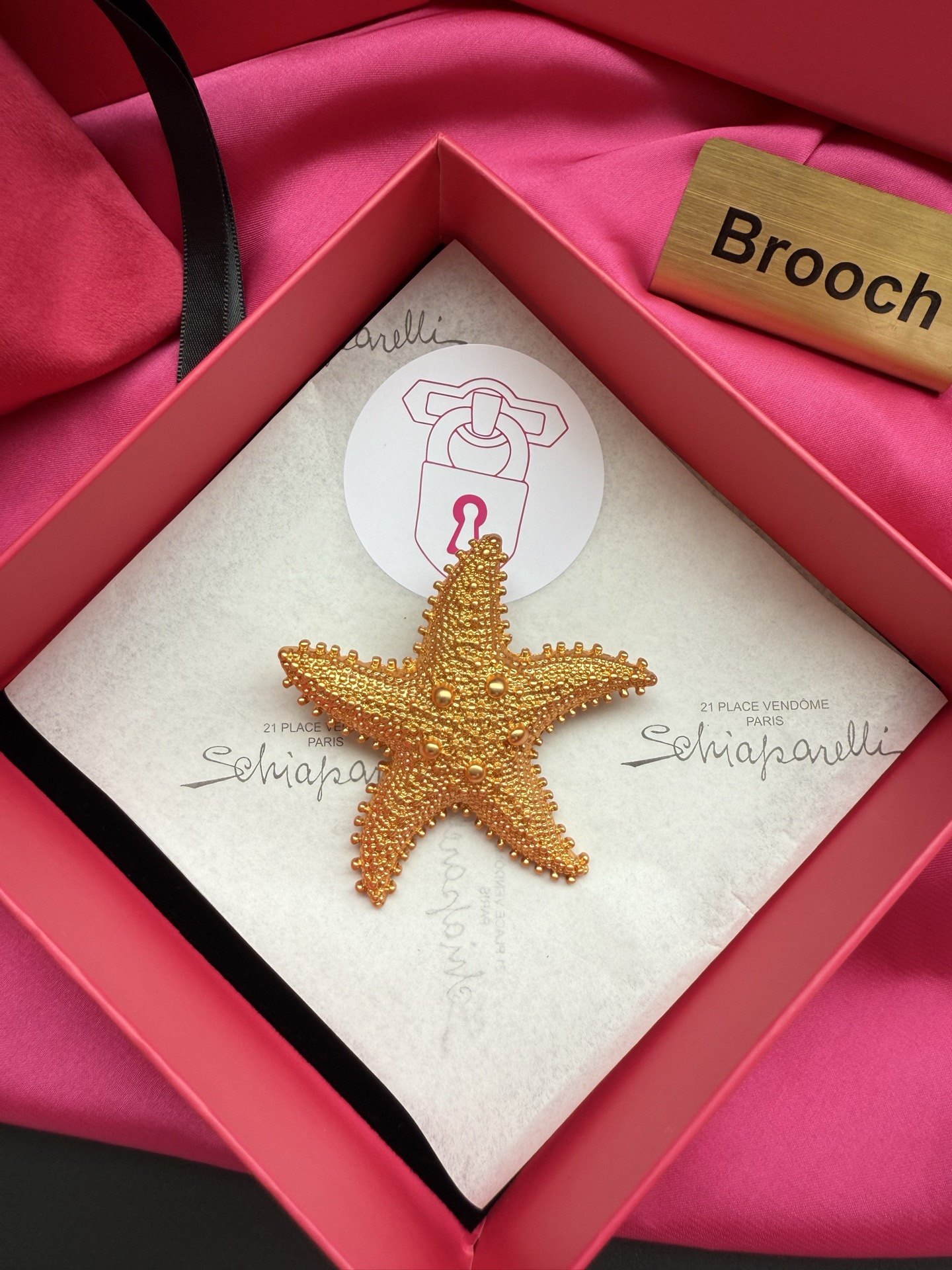 Брошь в виде звезды Schiaparelli