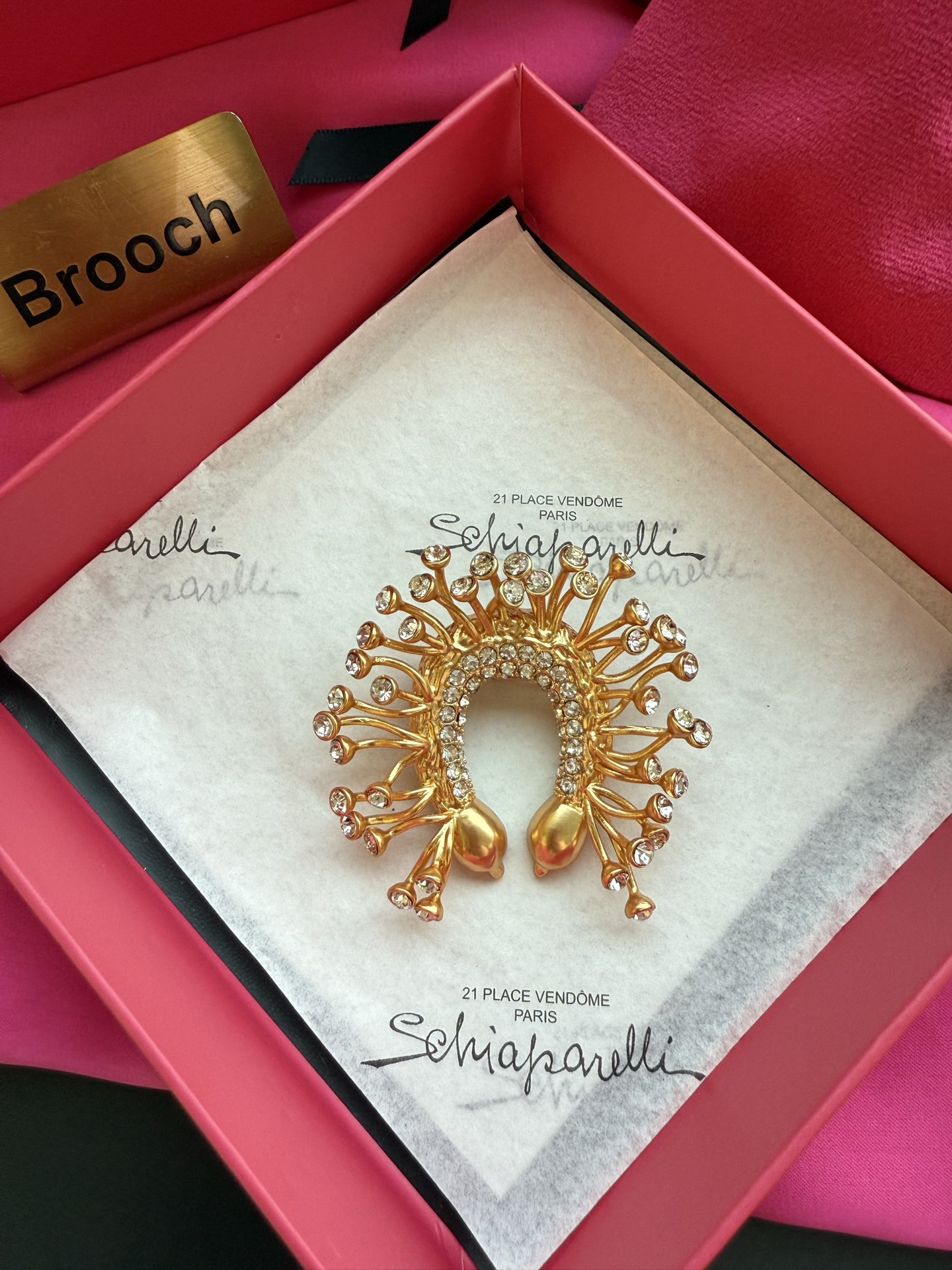 Брошь Schiaparelli