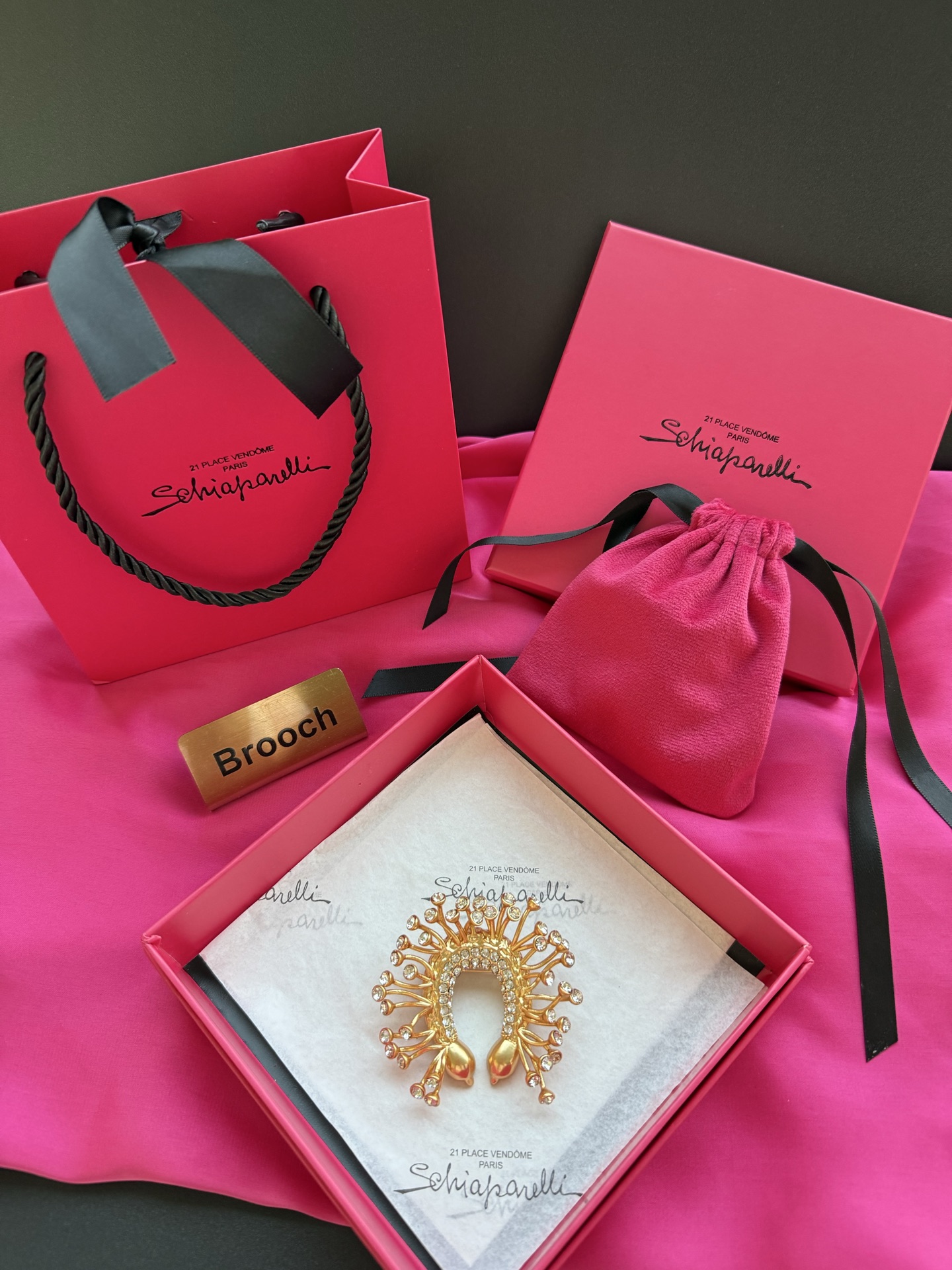 Брошь Schiaparelli