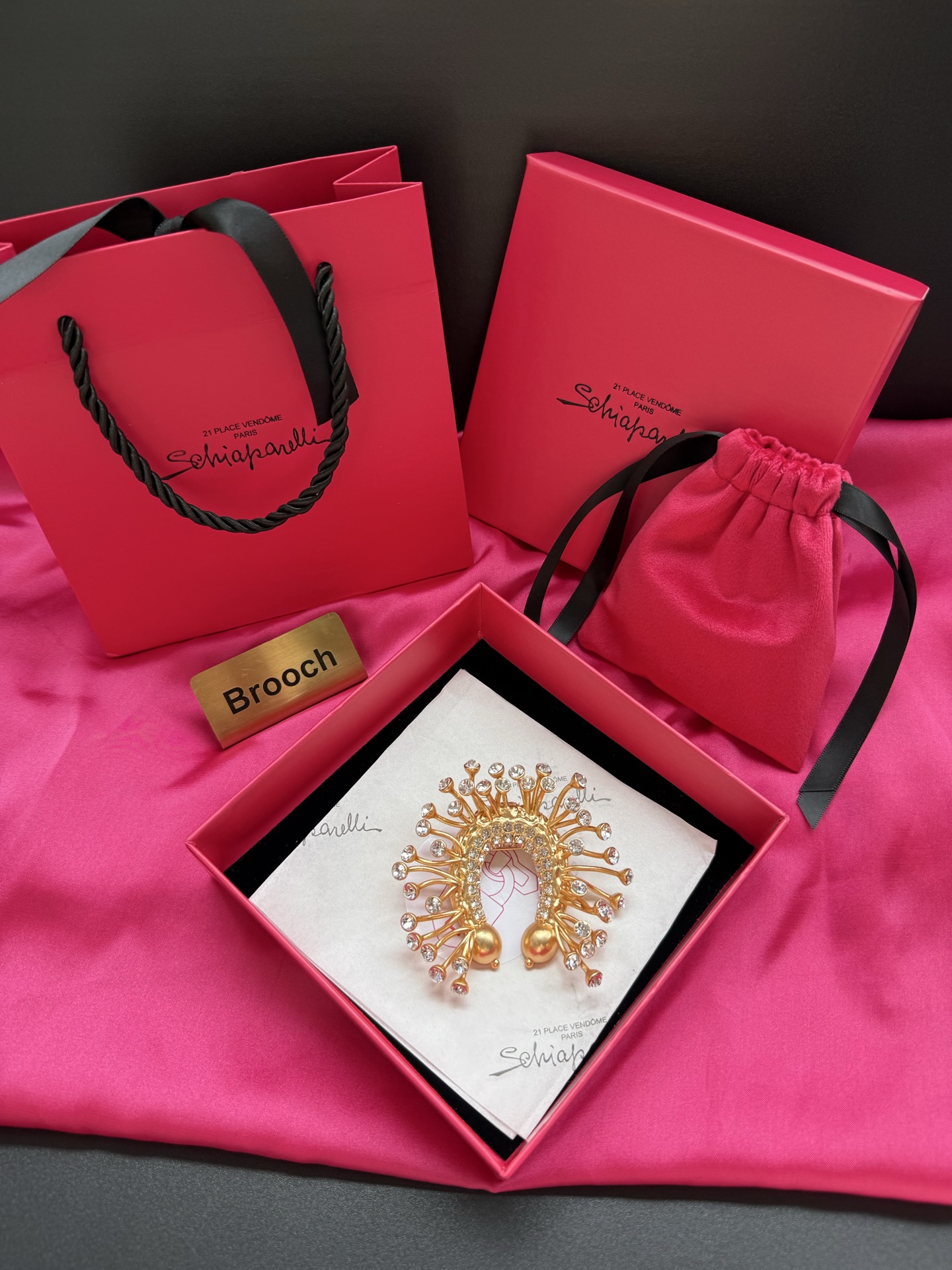 Брошь Schiaparelli