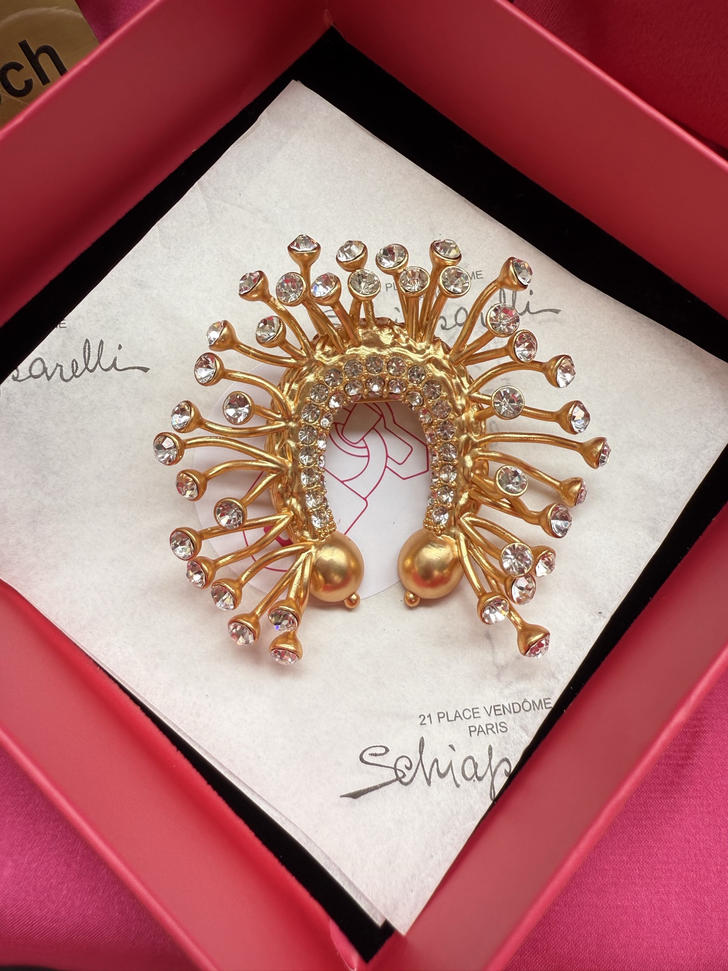 Брошь Schiaparelli