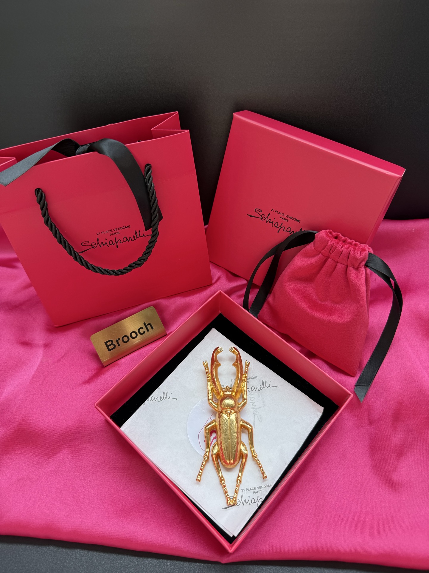 Брошь в виде жука Schiaparelli