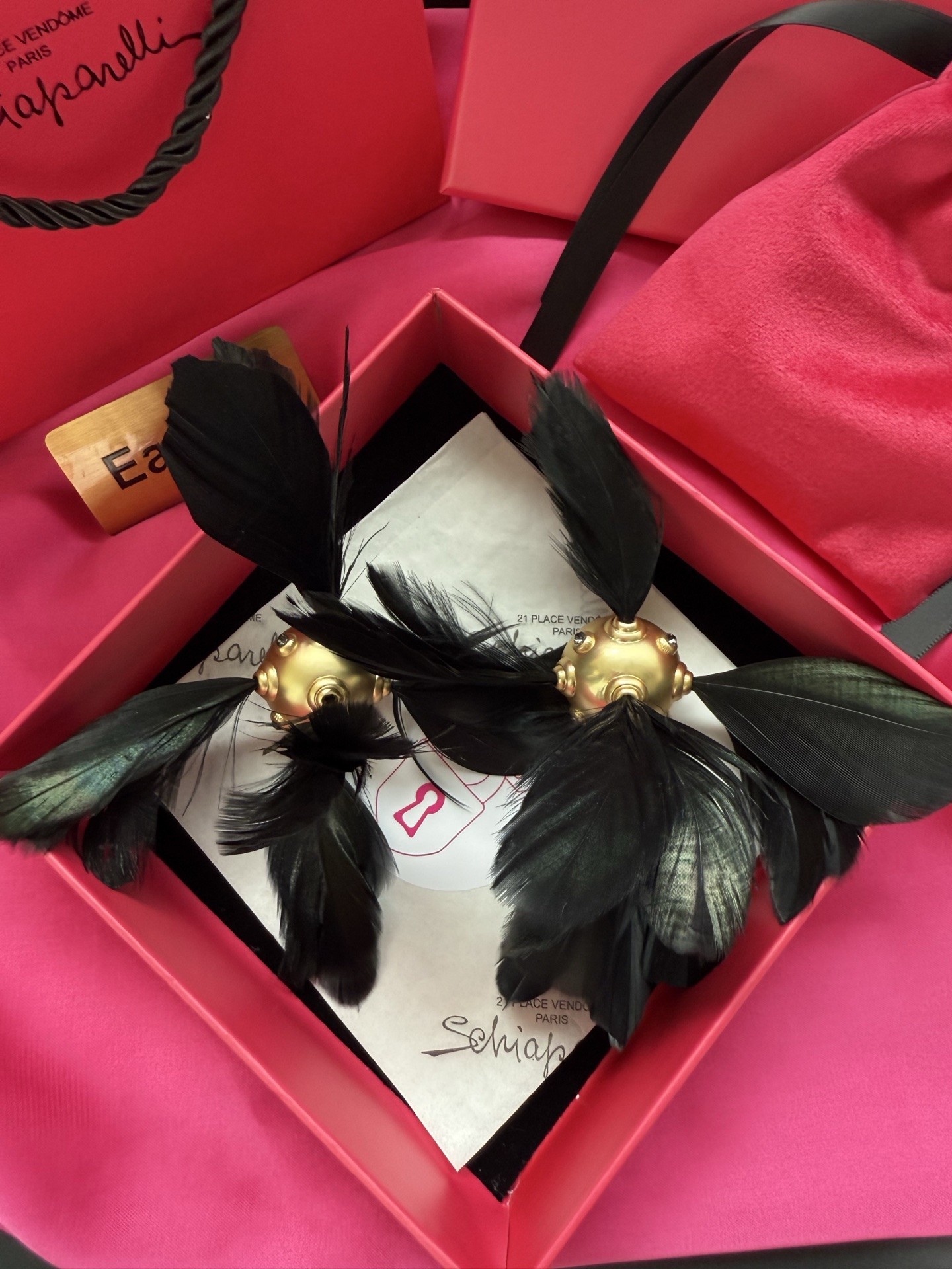 Серьги с черными перьями Schiaparelli