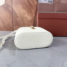 Loro piana Extra Softy Case L21手袋 款号:FLW0346 颜色:嫩白色羊皮 Extra Loro piana Extra Softy Case L21手袋 款号:FLW0346 颜色:嫩白色羊皮 Extra