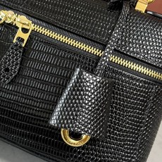Loro piana Extra Bag L23手袋 款号:FAQ2126 颜色:黑色蜥蜴纹 作为一款小巧精致的优雅配饰 Loro piana Extra Bag L23手袋 款号:FAQ2126 颜色:黑色蜥蜴纹 作为一款小巧精致的优雅配饰
